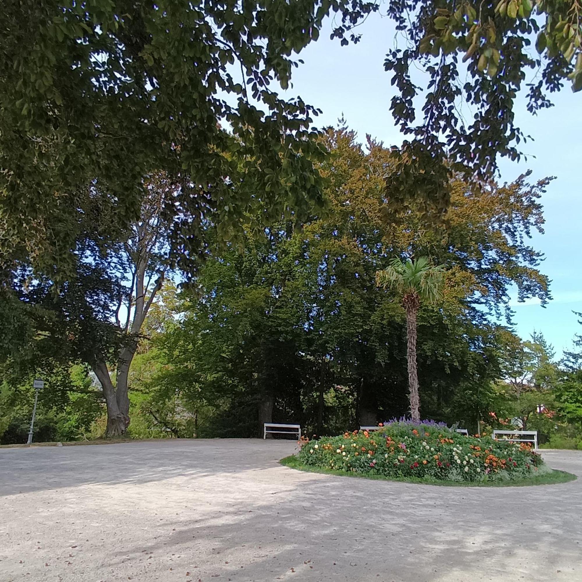 Appartamento Landhaus Am Kurpark Baden bei Wien Esterno foto