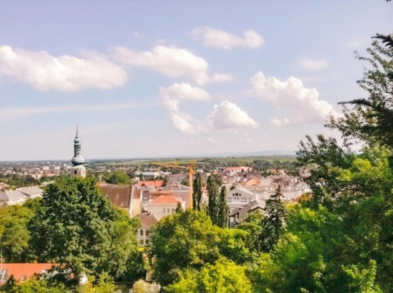 Appartamento Landhaus Am Kurpark Baden bei Wien Esterno foto